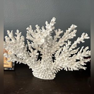 Coral house decor